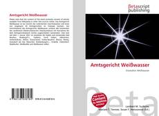 Couverture de Amtsgericht Weißwasser