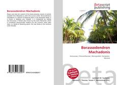 Couverture de Borassodendron Machadonis