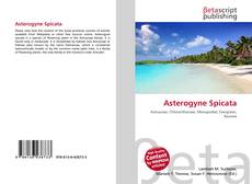 Copertina di Asterogyne Spicata