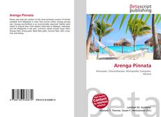 Copertina di Arenga Pinnata