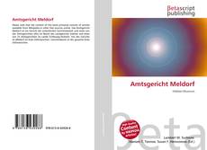 Buchcover von Amtsgericht Meldorf
