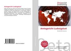 Buchcover von Amtsgericht Ludwigslust