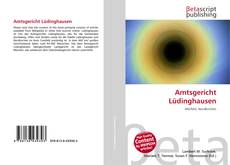 Copertina di Amtsgericht Lüdinghausen