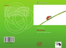 Bookcover of Bruciana