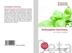 Copertina di Orthosiphon Stamineus