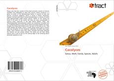 Bookcover of Cacolyces