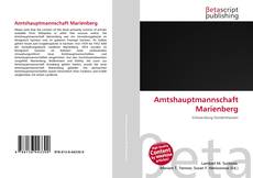Buchcover von Amtshauptmannschaft Marienberg