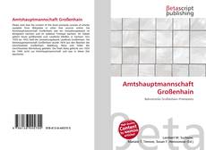 Copertina di Amtshauptmannschaft Großenhain