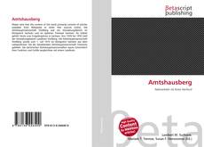 Buchcover von Amtshausberg
