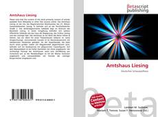 Buchcover von Amtshaus Liesing