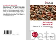 Couverture de Granulifusus Geometricus