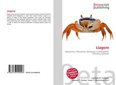 Couverture de Liagore