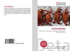 Couverture de Lachnopodus