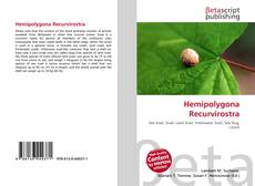 Copertina di Hemipolygona Recurvirostra