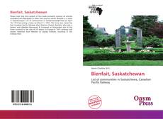 Capa do livro de Bienfait, Saskatchewan 