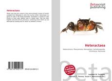 Buchcover von Heteractaea