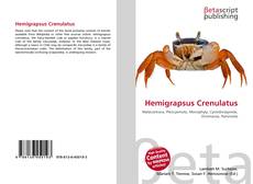 Buchcover von Hemigrapsus Crenulatus
