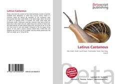Capa do livro de Latirus Castaneus 