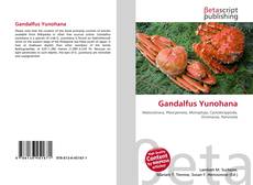 Buchcover von Gandalfus Yunohana