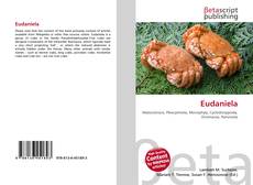 Buchcover von Eudaniela