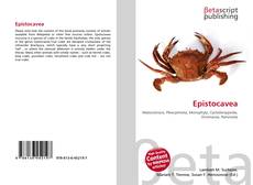 Buchcover von Epistocavea