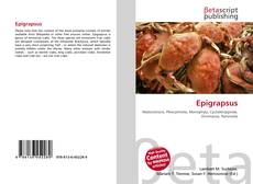 Buchcover von Epigrapsus