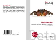Buchcover von Ectaesthesius