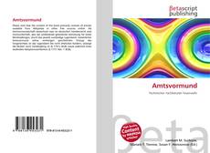 Amtsvormund的封面