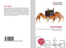 Copertina di Dromioidea
