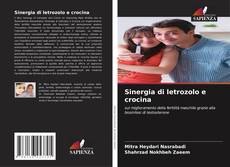 Buchcover von Sinergia di letrozolo e crocina