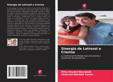 Capa do livro de Sinergia de Letrozol e Crocina 
