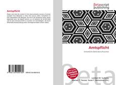 Capa do livro de Amtspflicht 