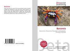 Buchcover von Banareia