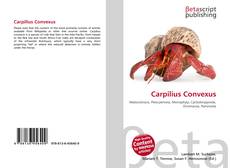 Copertina di Carpilius Convexus