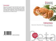 Capa do livro de Calvactaea 