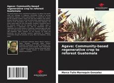 Обложка Agave: Community-based regenerative crop to reforest Guatemala