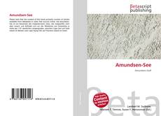Amundsen-See的封面