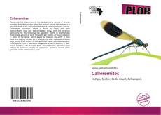 Обложка Calleremites
