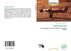Bookcover of Callocosmeta