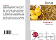 Buchcover von Amyntas II.