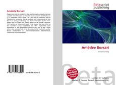 Buchcover von Amédée Borsari