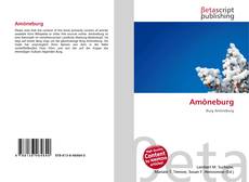 Couverture de Amöneburg