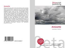 Couverture de Amüsette
