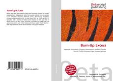 Couverture de Burn-Up Excess