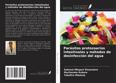 Capa do livro de Parásitos protozoarios intestinales y métodos de desinfección del agua 