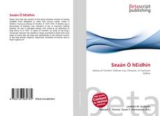 Couverture de Seaán Ó hEidhin