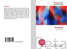 Couverture de Amyzon