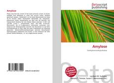 Couverture de Amylose