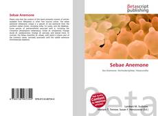 Couverture de Sebae Anemone