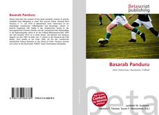 Capa do livro de Basarab Panduru 